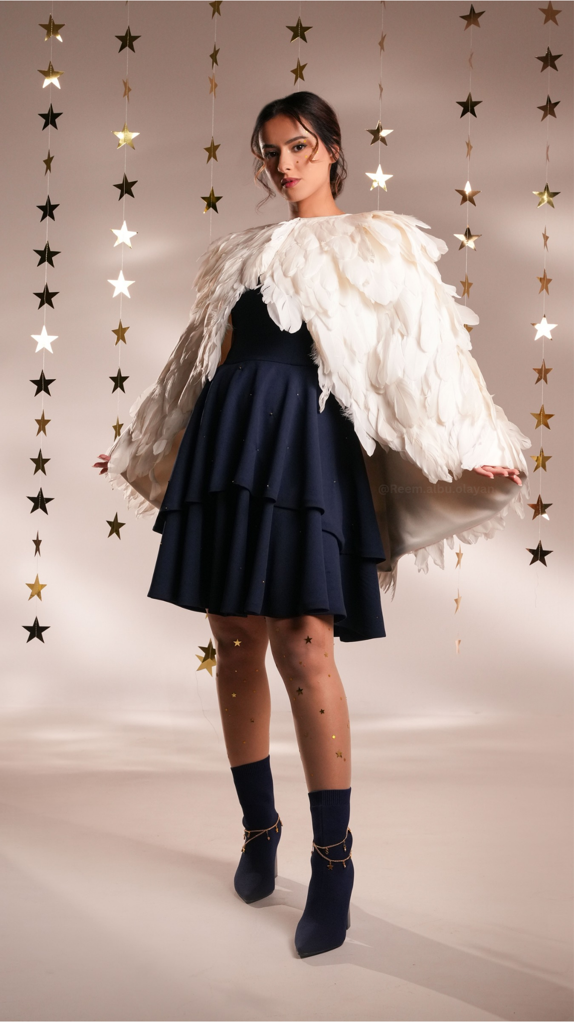 صورة مشروع أسترنيس 1